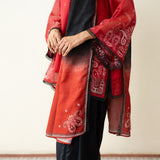 Laila Hand Embroidered Chanderi Farshi Set - Classic Black & Red