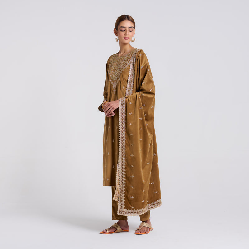 Brown Ochre Embroidered Gulzaar Velvet Set with Dupatta