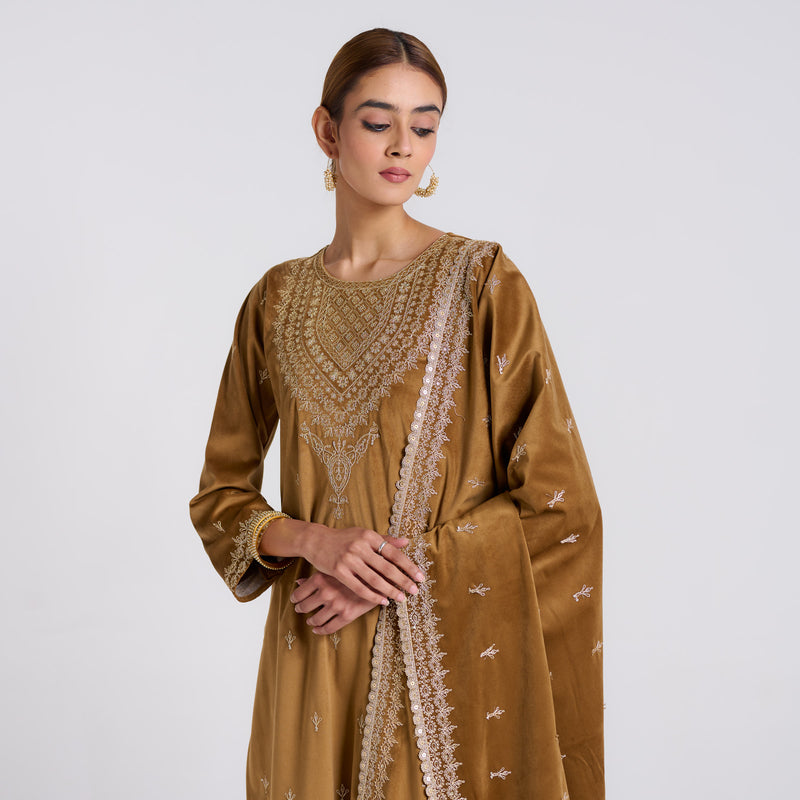 Brown Ochre Embroidered Gulzaar Velvet Set with Dupatta