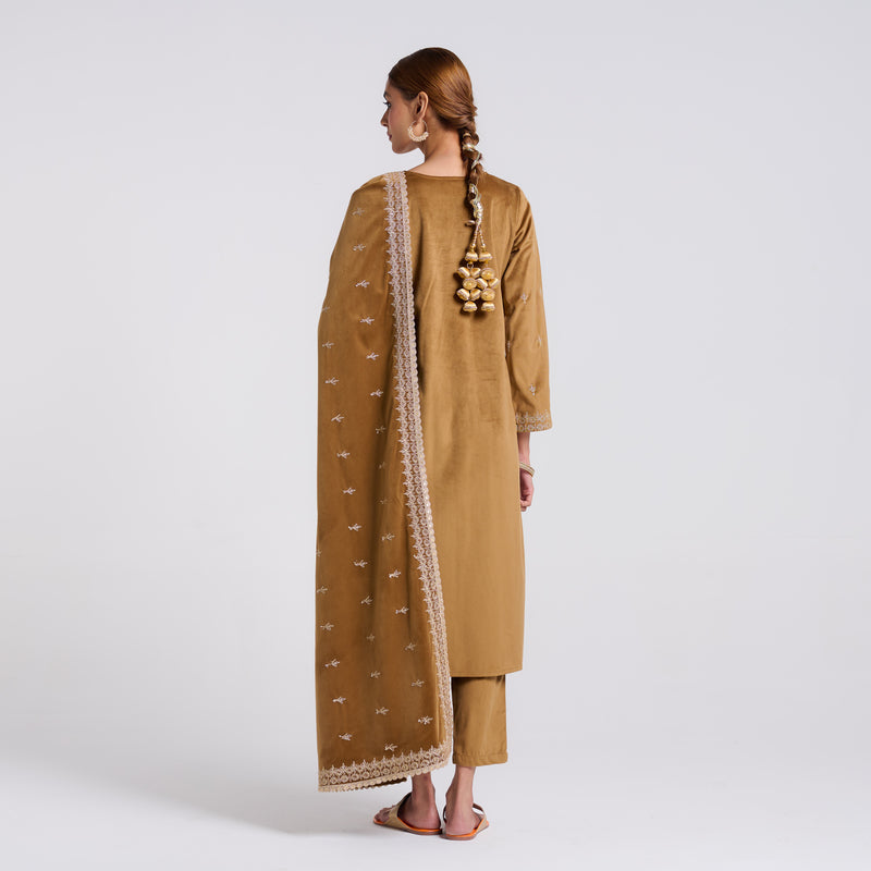 Brown Ochre Embroidered Gulzaar Velvet Set with Dupatta