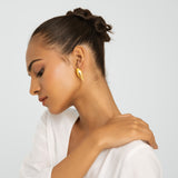 Conch Shell Earrings - Gold